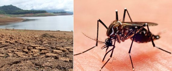 Crise hídrica elevou casos de dengue, segundo ministro da Saúde.